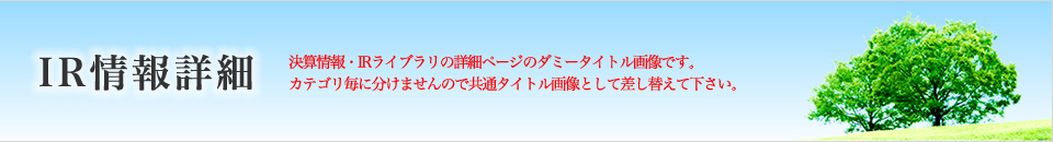 IR情報詳細